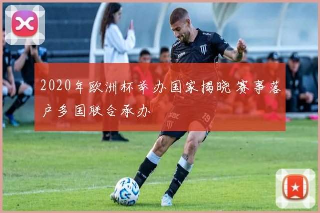 2020年欧洲杯举办国家揭晓 赛事落户多国联合承办