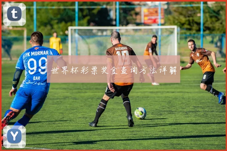世界杯彩票奖金查询方法详解