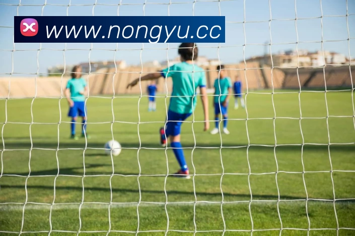 麻将胡了官方网站入口(中国) - 唯一官方网站品牌故事