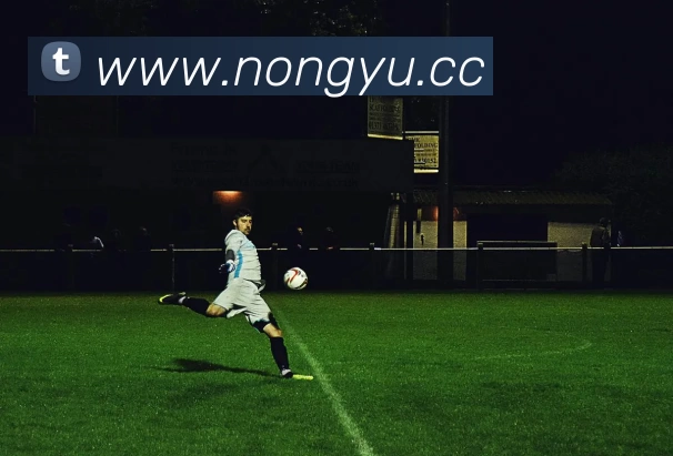 麻将胡了官方网站入口(中国) - 唯一官方网站服务体系